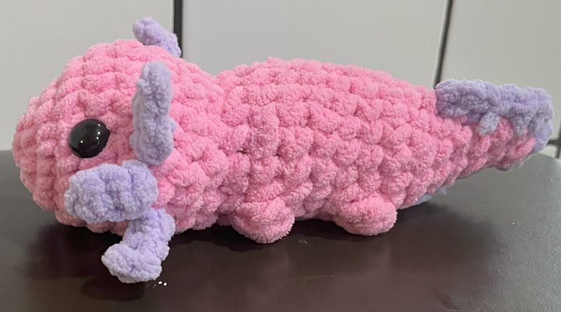 axolotl