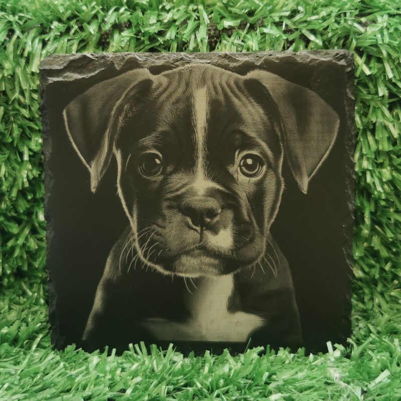 Boxer Puppy Slate Coaster, Laser Engraved, Dog Square 100mm