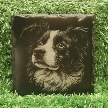 Border Collie Slate Coaster, Laser Engraved, Dog Square 100mm