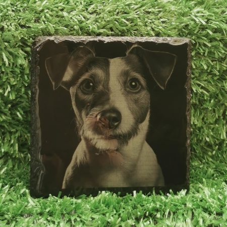 Dog Breed Slate Coaster, Laser Engraved, Dog Square 100mm