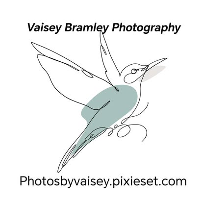 Vaisey Bramley Photography