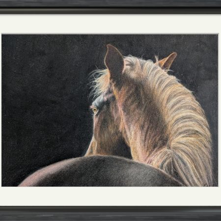 Horse Fine Art Print