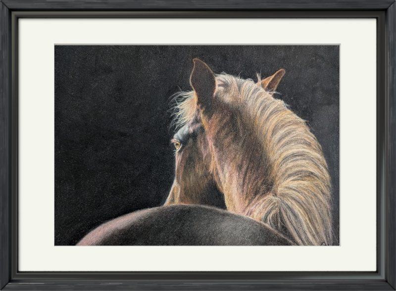 Horse Fine Art Print