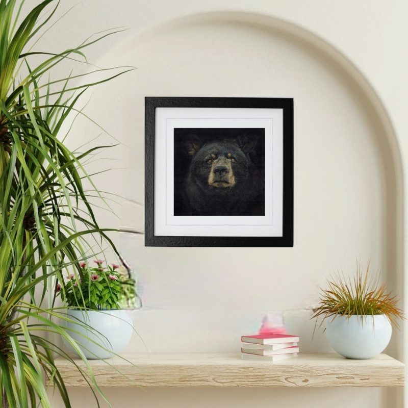 Black Bear Fine Art Print Square