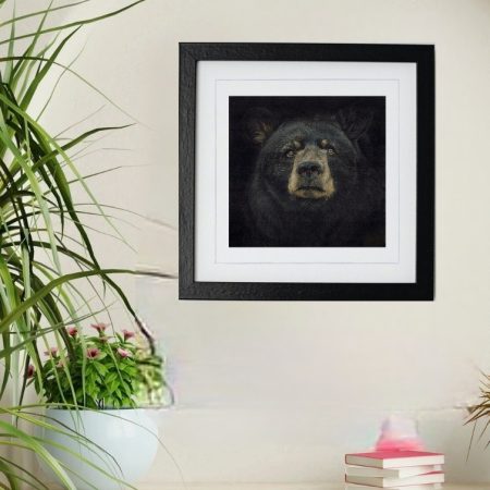 Black Bear Fine Art Print Square