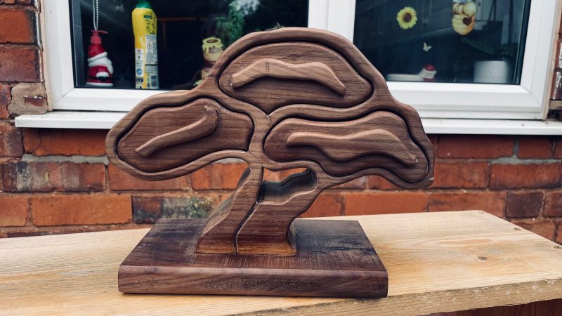 ree of Treasures – Walnut Burl Jewelry Box