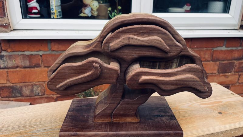 ree of Treasures – Walnut Burl Jewelry Box