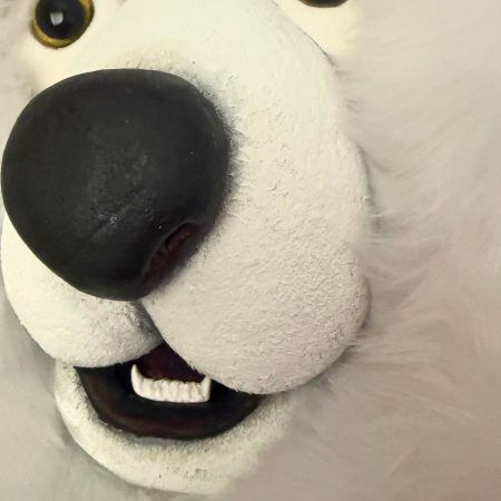Oscar the Polar Bear