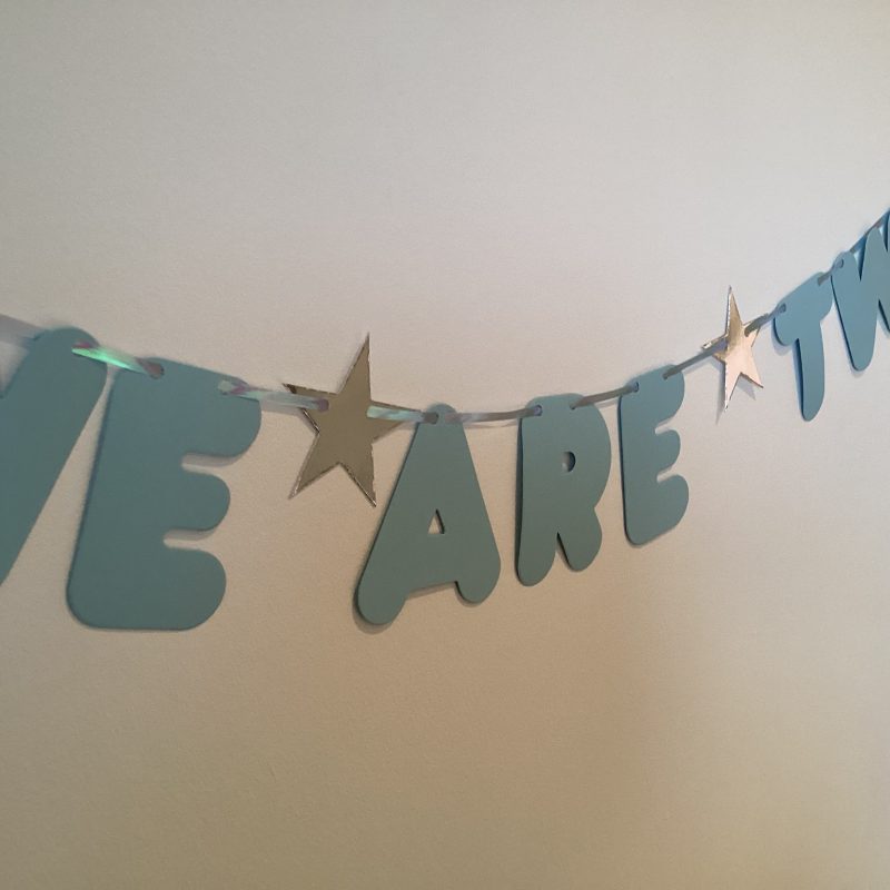 Twin Boys ‘We Are Two’ Blue & Silver 2nd Birthday Banner