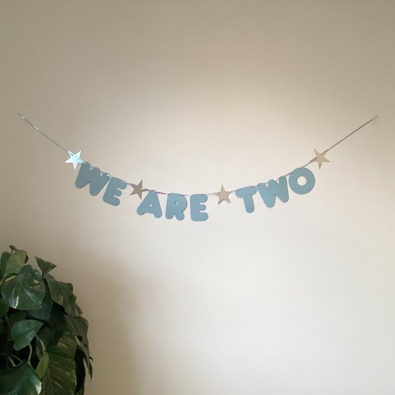 Twin Boys ‘We Are Two’ Blue & Silver 2nd Birthday Banner