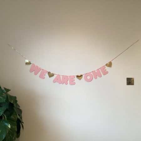 Twin Girls ‘We Are One’ Birthday Banner Party Bunting Pink & Gold