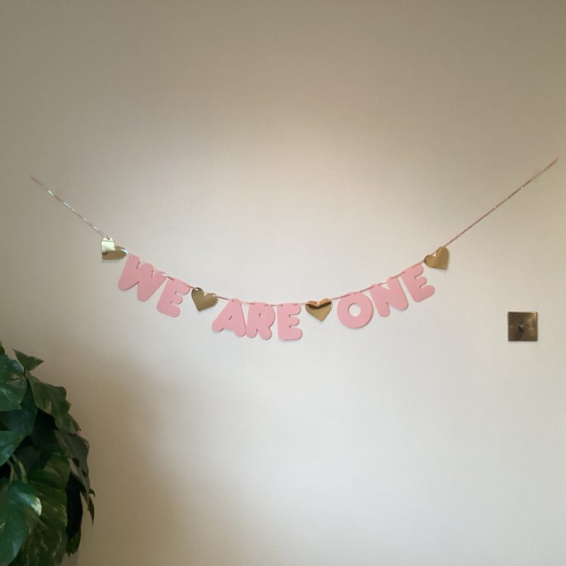 Twin Girls ‘We Are One’ Birthday Banner Party Bunting Pink & Gold