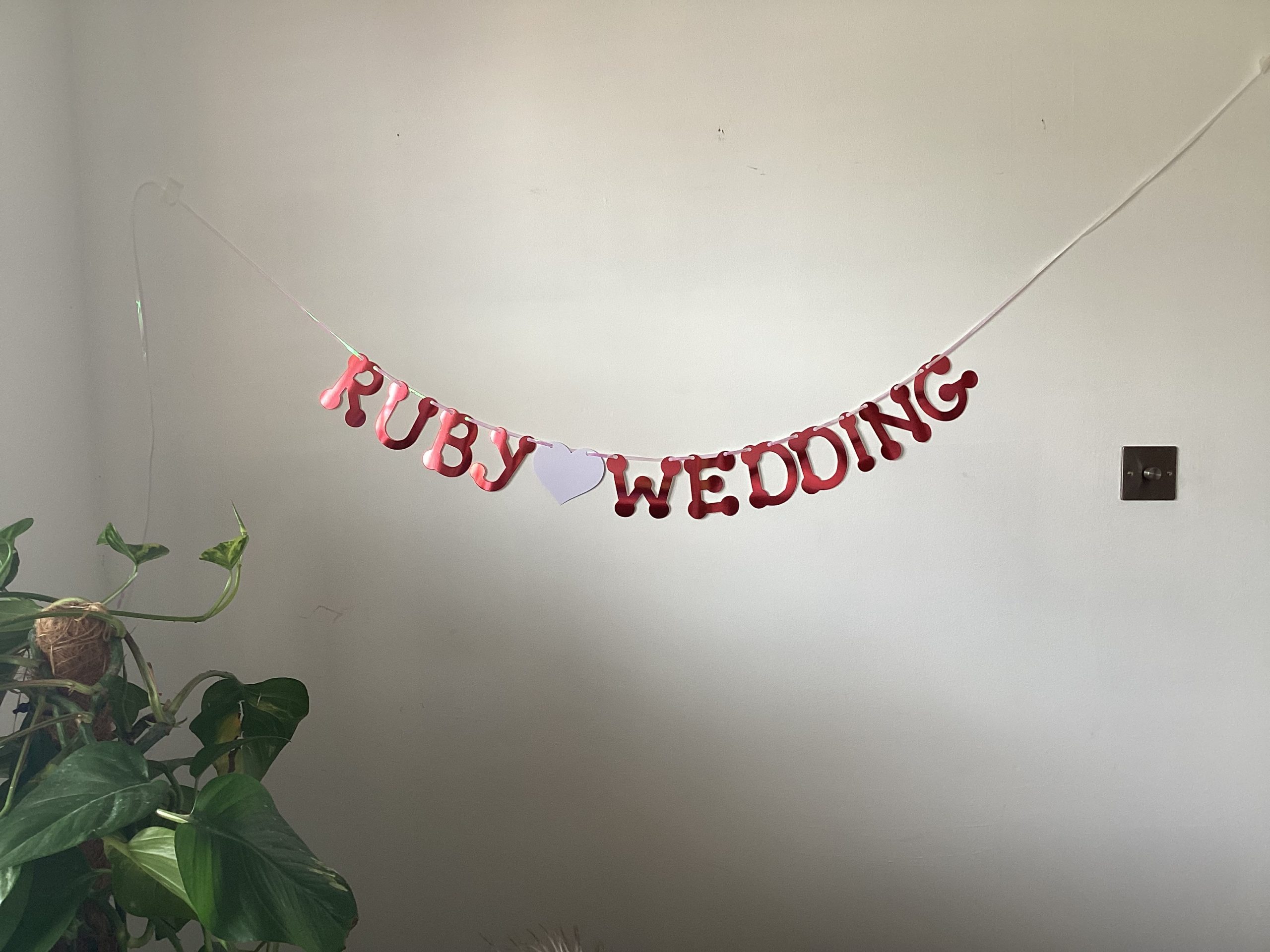 Ruby Wedding 40th Anniversary Banner Party Bunting