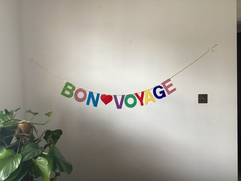 Bon Voyage Leaving travel Banner Party Bunting Decoration