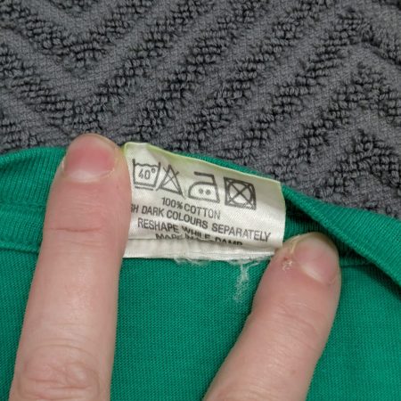 HEDGEHOG SLEEPING IN A HAMMOCK UNDER SUNFLOWERS