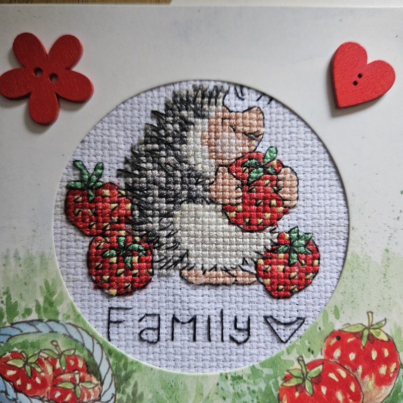 Hand made cute Hedgehog & Strawberrys greetings card 12cm x 12cm