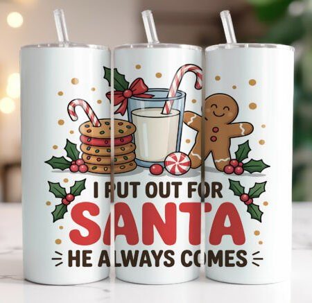 I put out for Santa funny 20oz insulated stainless steel tumbler with straw