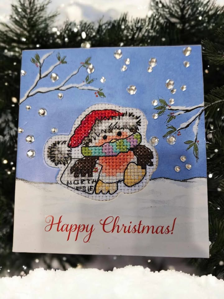 North pole robin hand made cross stitched card 10cm x 11cm