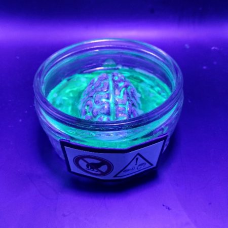 Arcane Artefacts: Unknown Sample | brain in a jar | resin ornament | LARP / game prop