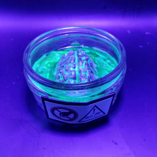 Arcane Artefacts: Unknown Sample | brain in a jar | resin ornament | LARP / game prop