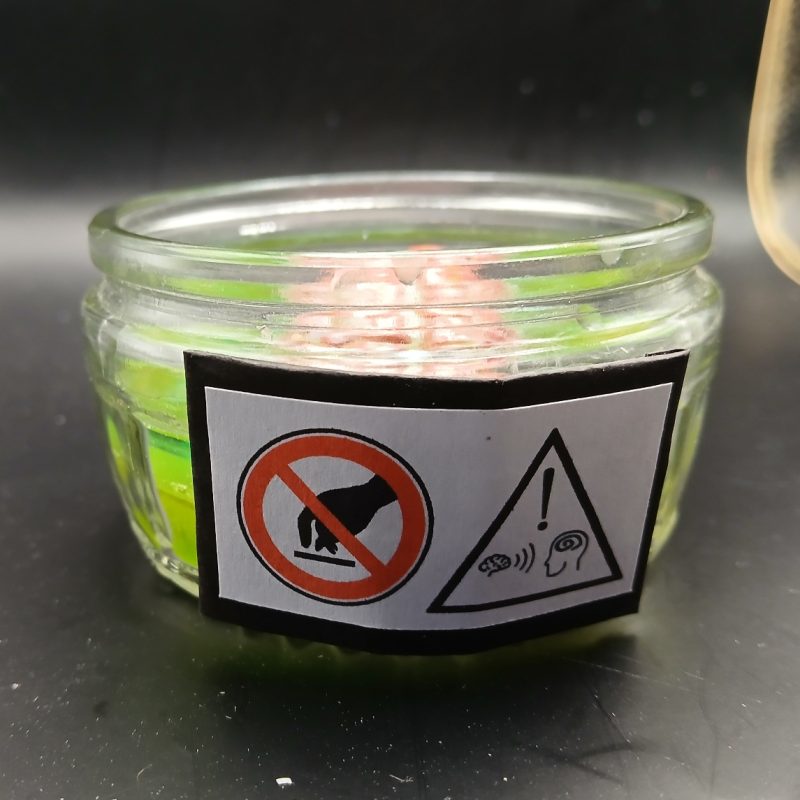 Arcane Artefacts: Unknown Sample | brain in a jar | resin ornament | LARP / game prop