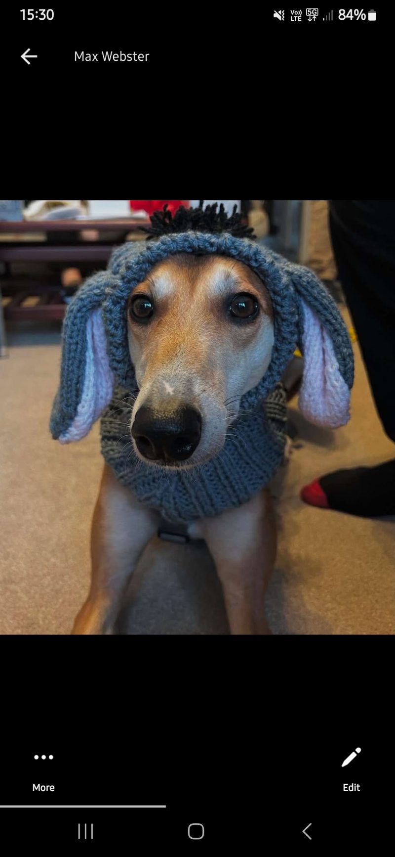 Handmade Knitted dog snood in rabbit design in a soft grey wool