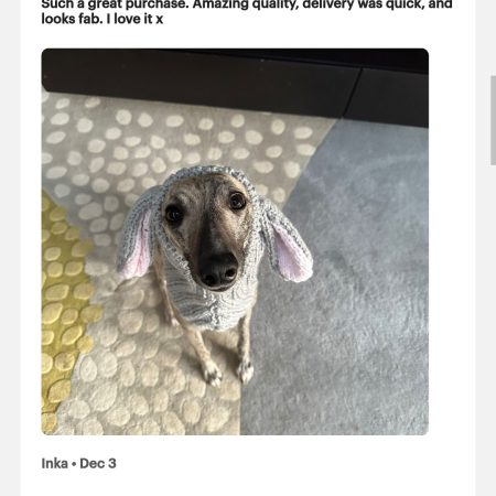 Handmade Knitted dog snood in rabbit design in a soft grey wool
