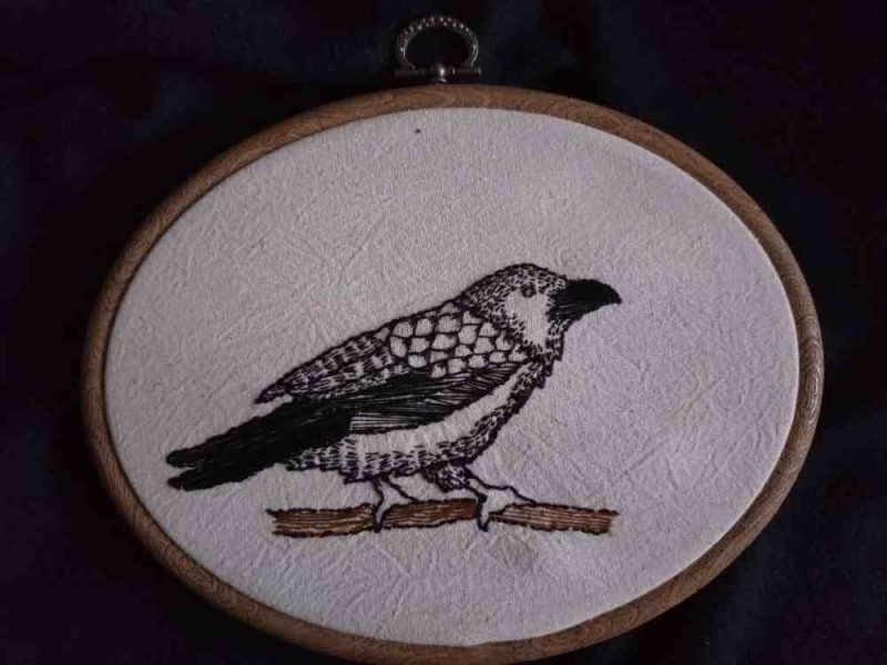 Raven/crow embroidery in frame