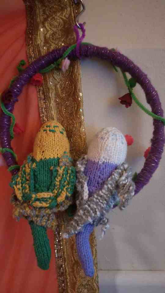 Single budgie in hoop, personalised