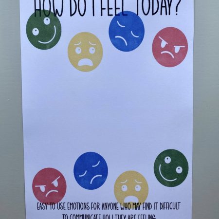 Teacher Support | Emotional Support Keyrings | Feelings Discs | Classroom Tool
