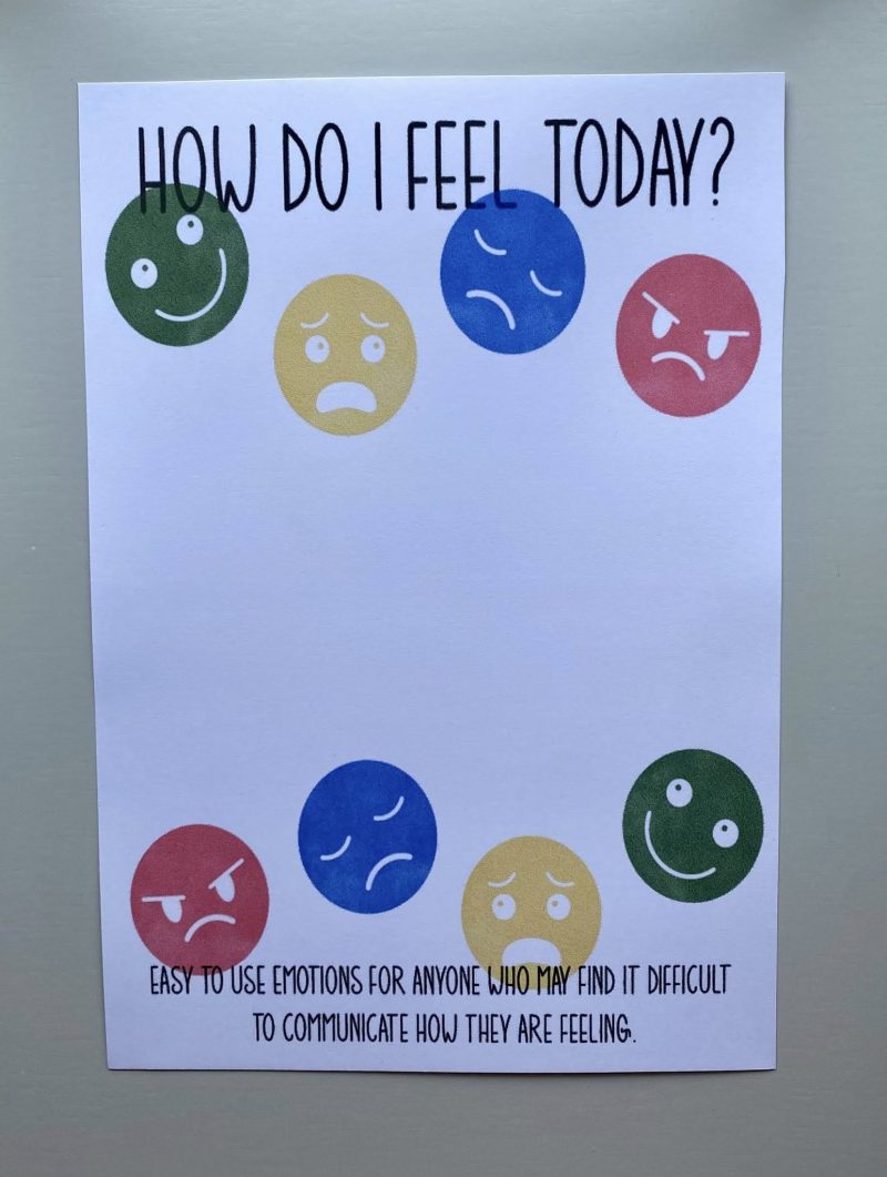 Teacher Support | Emotional Support Keyrings | Feelings Discs | Classroom Tool