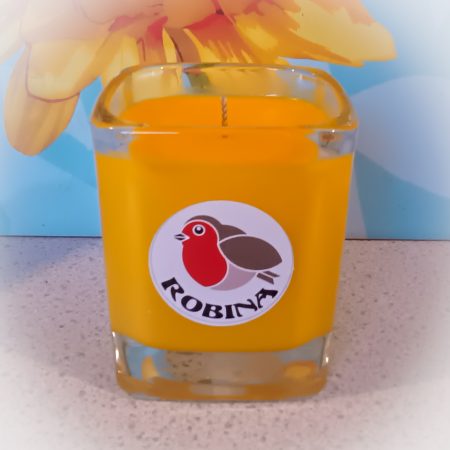 Sunny Citrus 26cl Candle