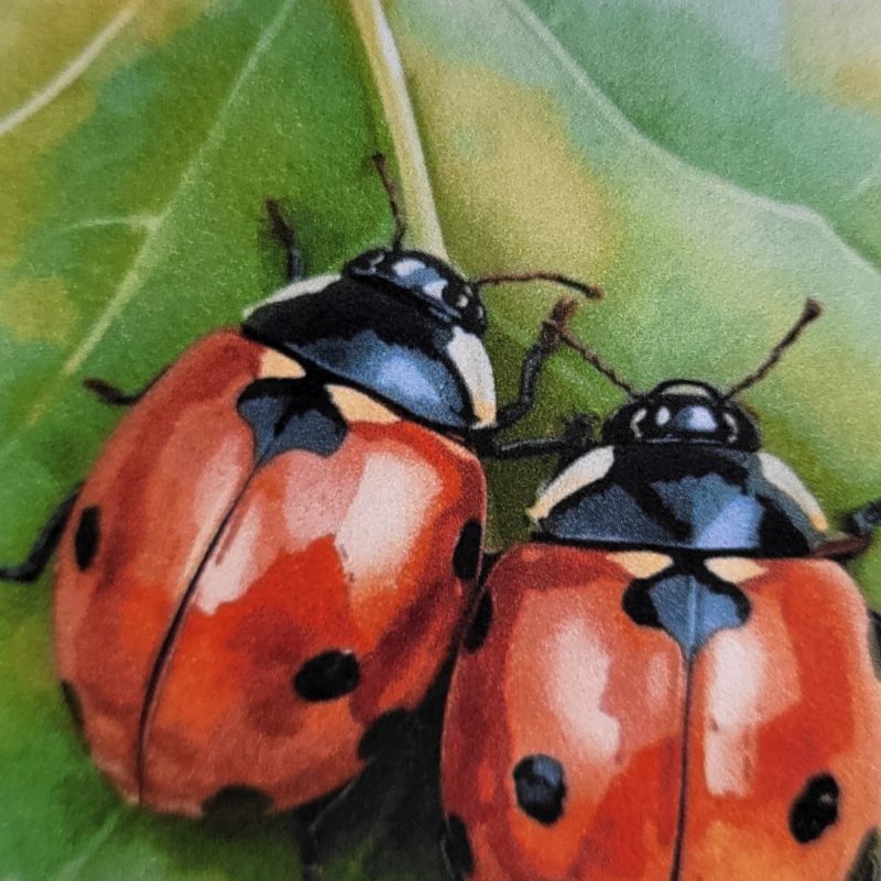 Personalised Anniversary “Side by Side” Card, 5x7