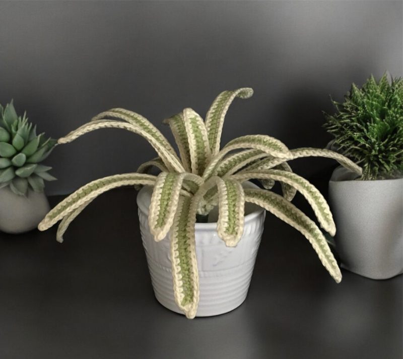 Handmade Crochet Spider Plant in Lime Green and Cream Cotton Yarn