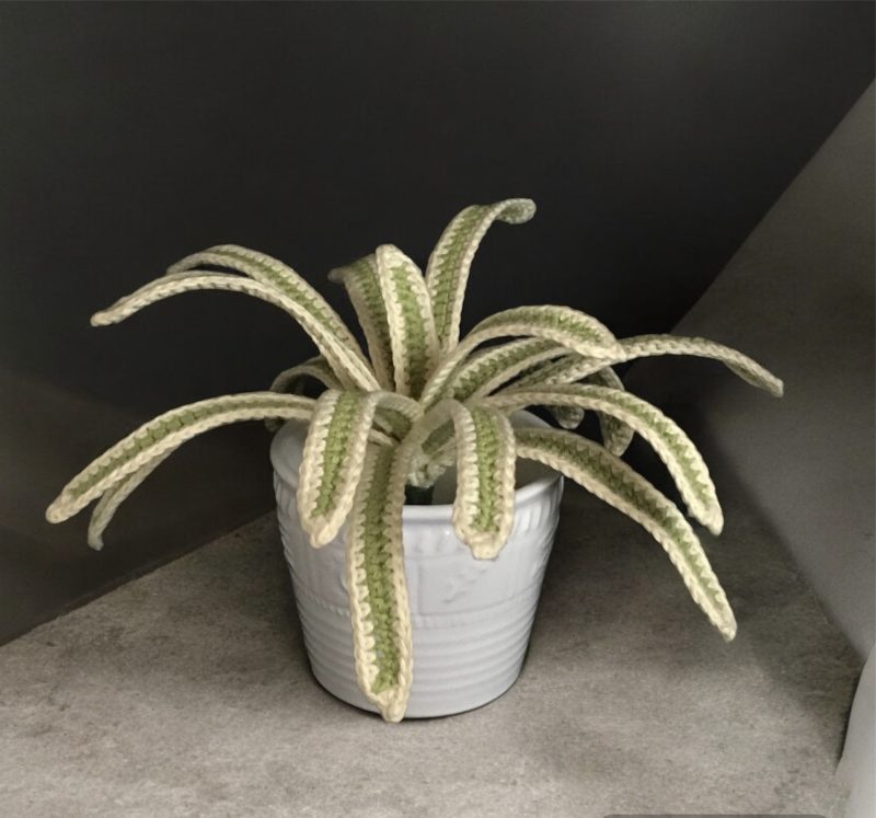 Handmade Crochet Spider Plant in Lime Green and Cream Cotton Yarn