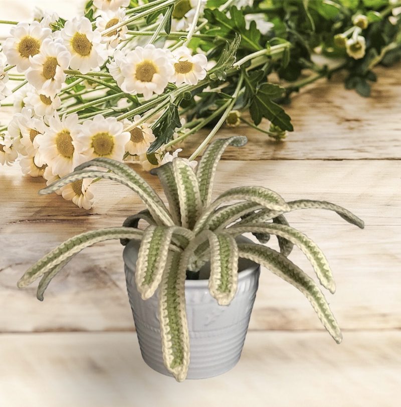 Handmade Crochet Spider Plant in Lime Green and Cream Cotton Yarn