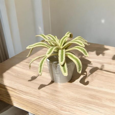 Handmade Crochet Spider Plant in Lime Green and Cream Cotton Yarn