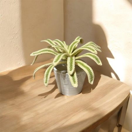 Handmade Crochet Spider Plant in Lime Green and Cream Cotton Yarn