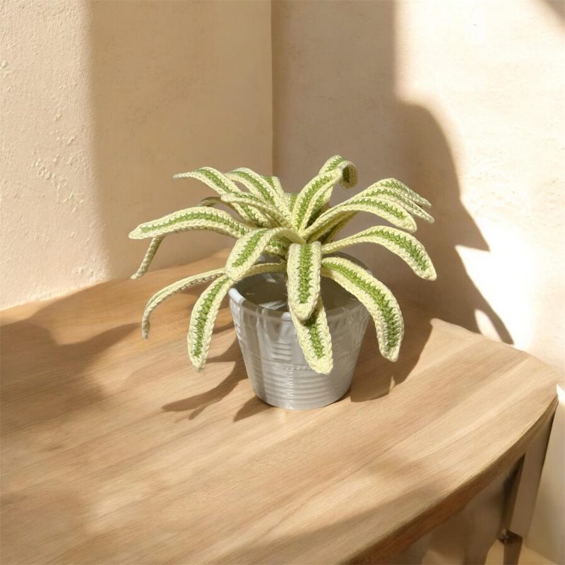 Handmade Crochet Spider Plant in Lime Green and Cream Cotton Yarn