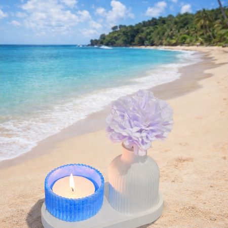 Coastal Vibes – The Biomes Collection