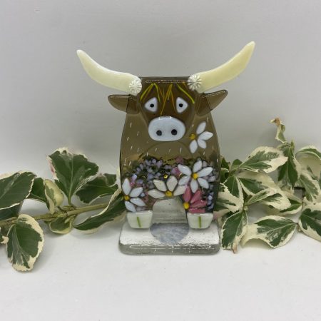 Fused Glass Highland cow with flower detail