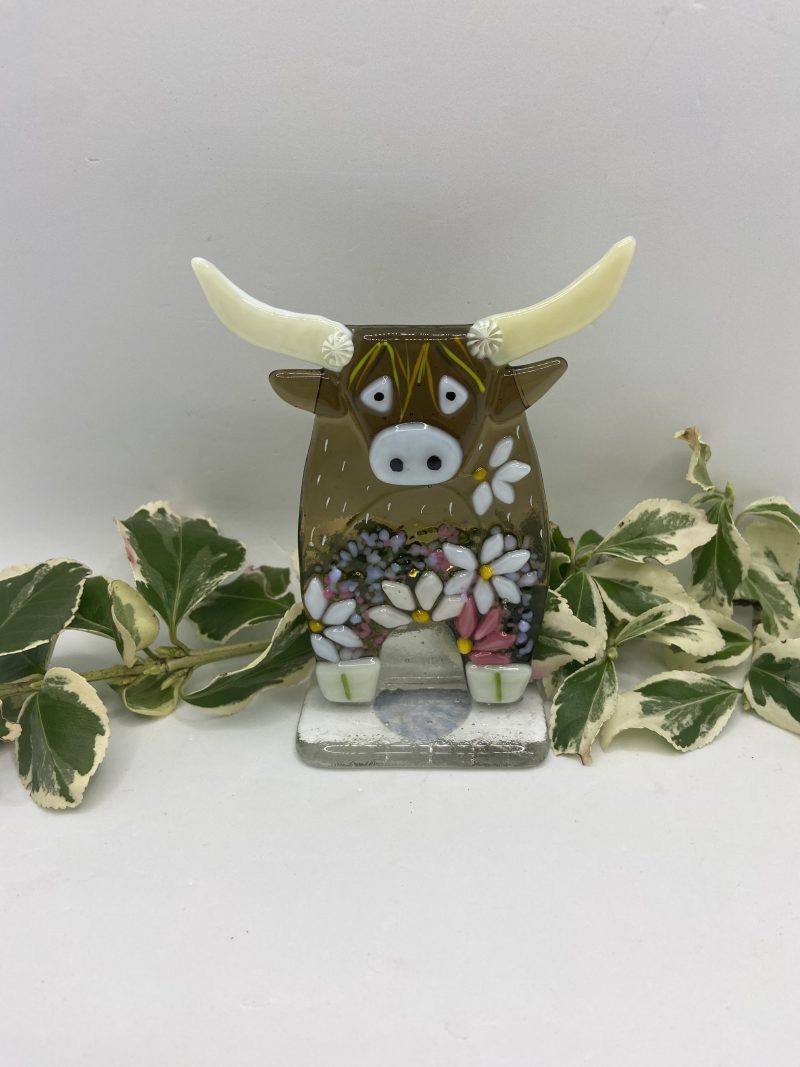 Fused Glass Highland cow with flower detail