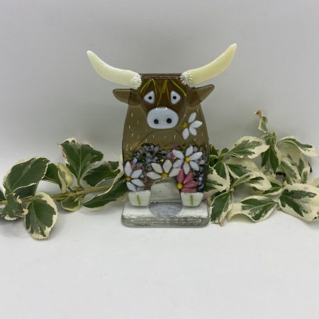 Fused Glass Highland cow with flower detail