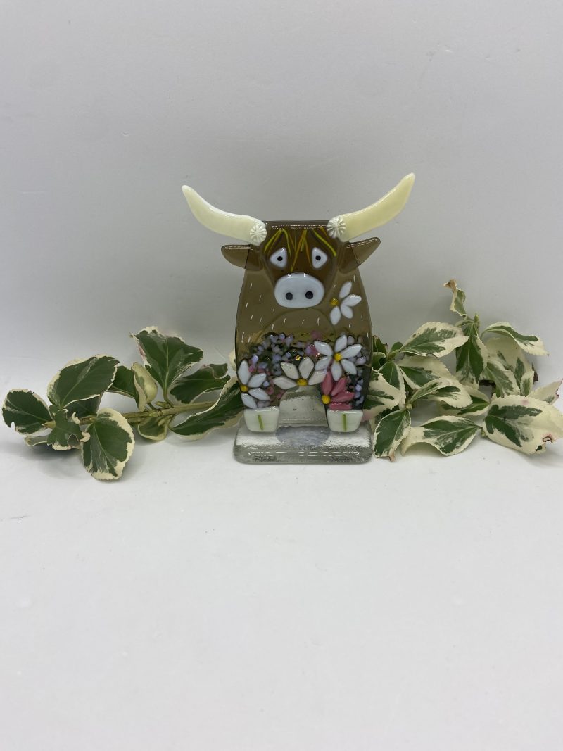 Fused Glass Highland cow with flower detail