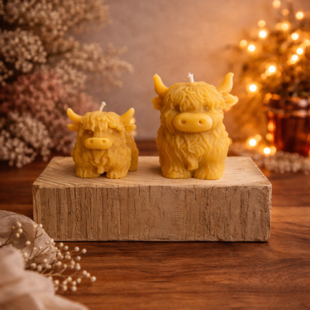 Highland Cow Twin pack