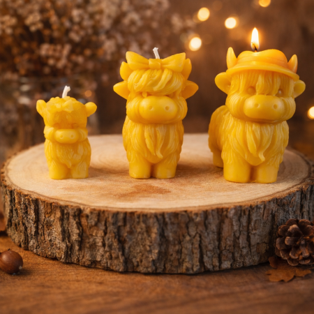 Highland Cow Family Pack