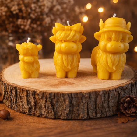 Highland Cow Family Pack
