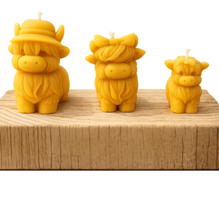 Highland Cow Family Pack