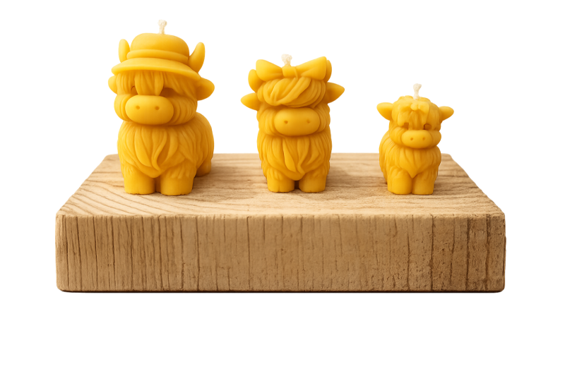 Highland Cow Family Pack