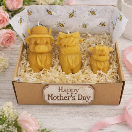 Highland Cow Family Pack